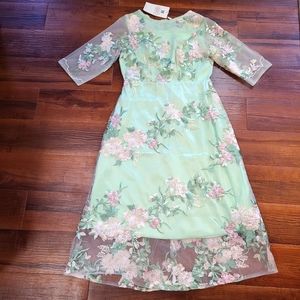 Anthropologie Vicky and Lucas Green Floral Embroidery Overlay Dress Womens Large